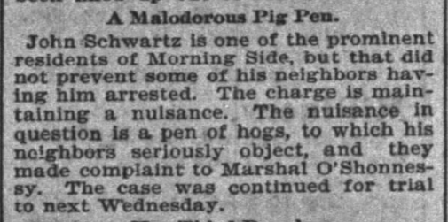 A Malodorous Pig Pen. John Schwartz is one of the prominent residents of Morning Side, but that did not prevent some of his neighbors having him arrested. The charge is maintaining a nuisance. The nuisance in question is a pen of hogs, to which his neighbors seriously object, and they made complaint to Marshal O'Shonnessy. The case was continued for trial to next Wednesday.